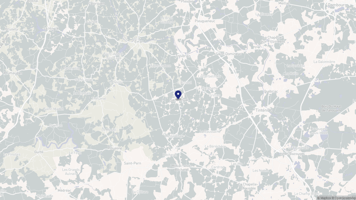 Aperçu cartographique de Saint-Thual, centré sur la commune