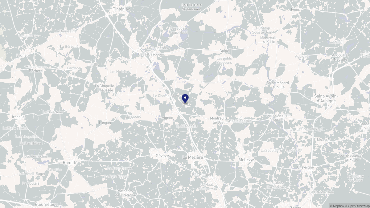 Aperçu cartographique de Vignoc, centré sur la commune