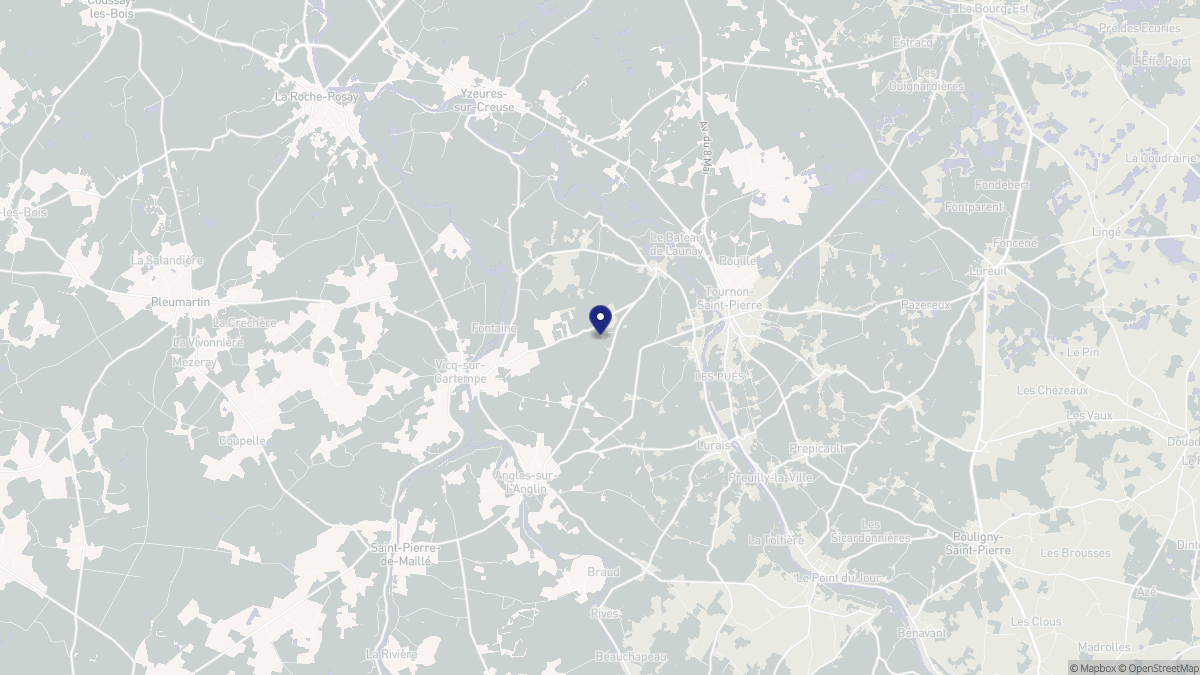 Aperçu cartographique de Néons-sur-Creuse, centré sur la commune