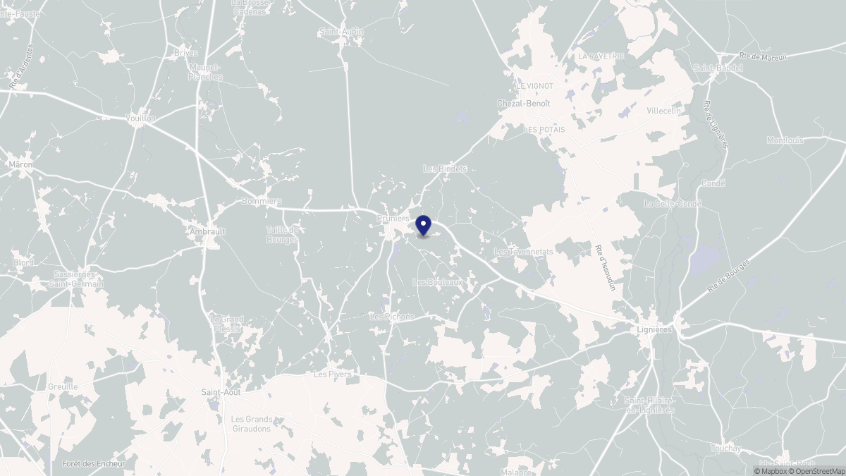 Aperçu cartographique de Pruniers, centré sur la commune