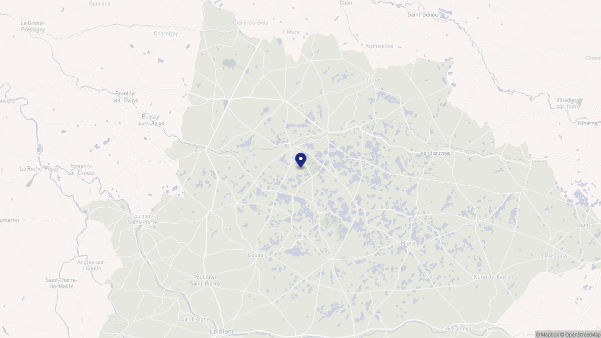 Aperçu cartographique de Saint-Michel-en-Brenne, centré sur la commune