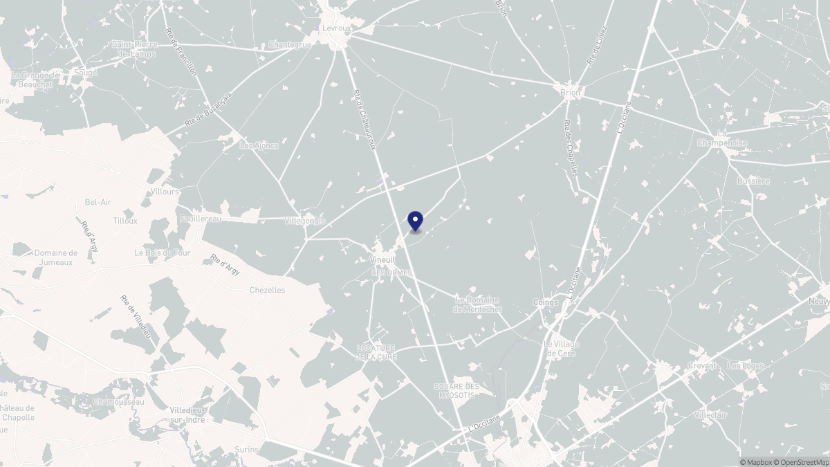 Aperçu cartographique de Vineuil, centré sur la commune
