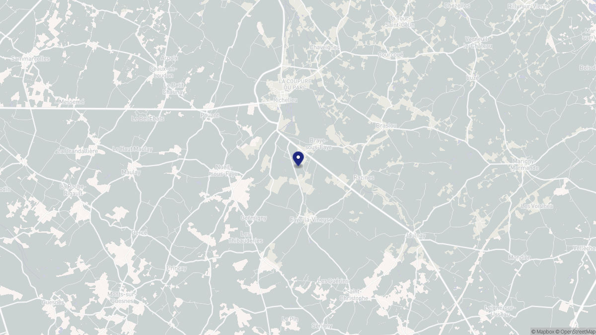 Aperçu cartographique de Braye-sous-Faye, centré sur la commune