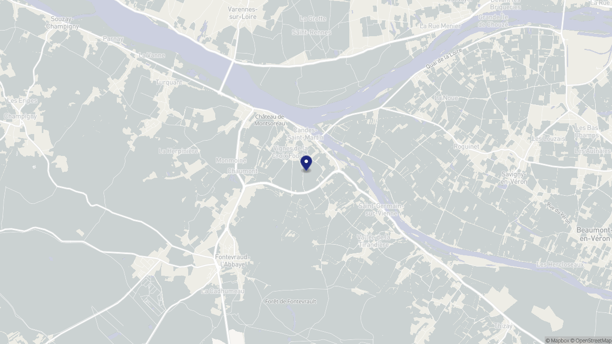 Aperçu cartographique de Candes-Saint-Martin, centré sur la commune