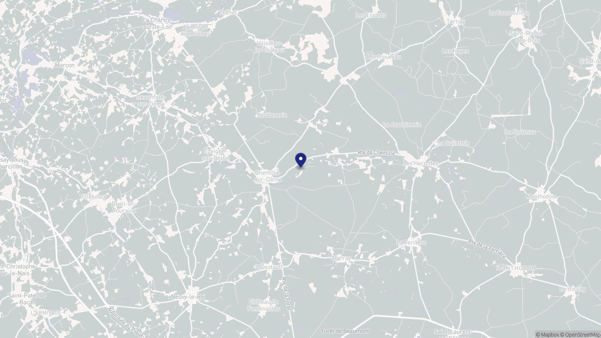 Aperçu cartographique de Chemillé-sur-Dême, centré sur la commune