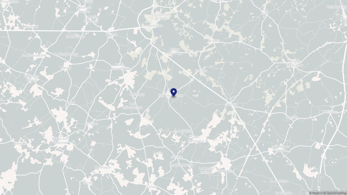 Aperçu cartographique de Faye-la-Vineuse, centré sur la commune