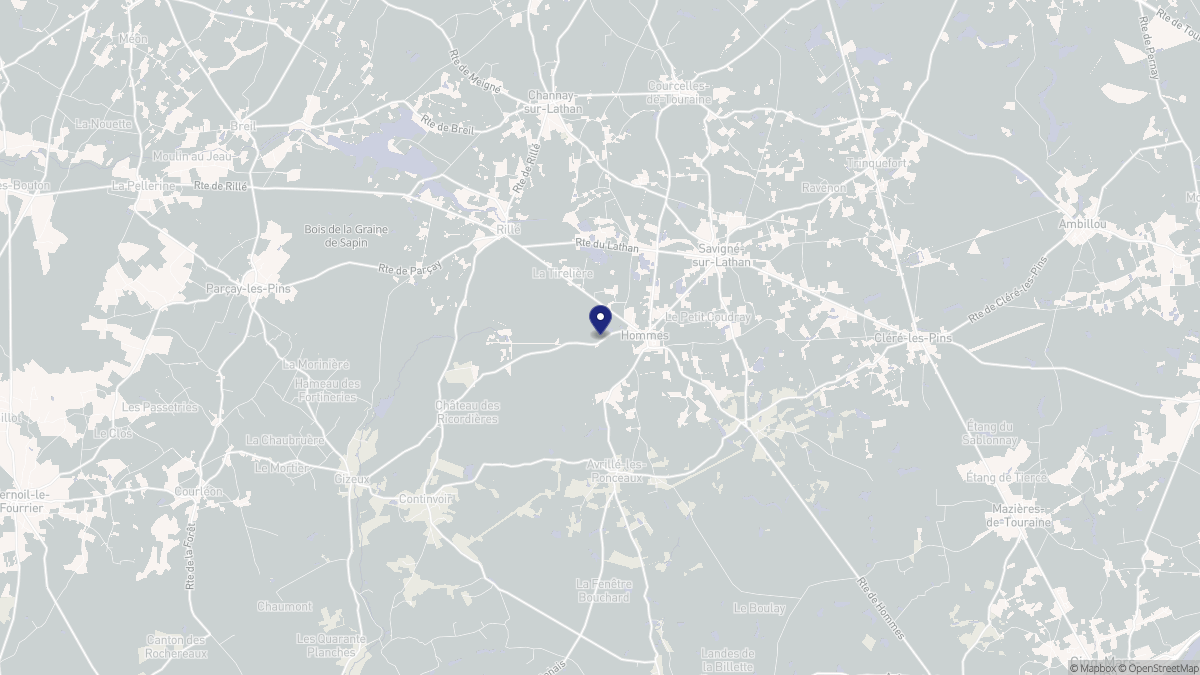 Aperçu cartographique de Hommes, centré sur la commune