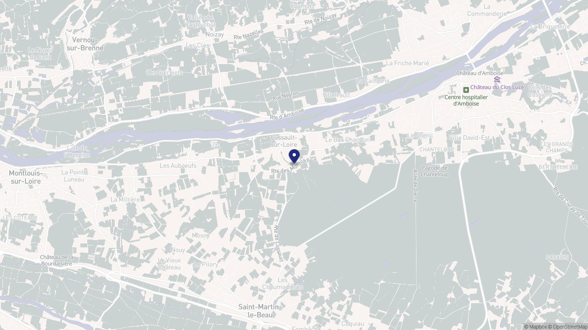 Aperçu cartographique de Lussault-sur-Loire, centré sur la commune