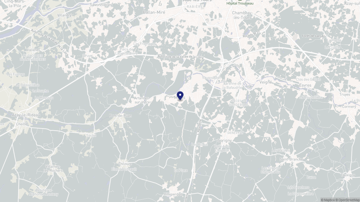 Aperçu cartographique de Monts, centré sur la commune