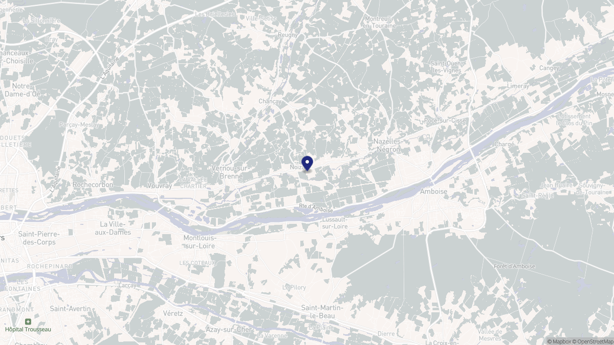 Aperçu cartographique de Noizay, centré sur la commune