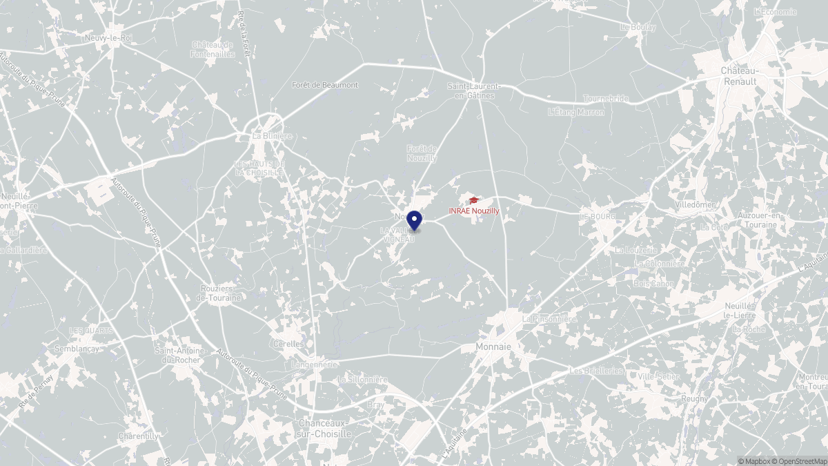 Aperçu cartographique de Nouzilly, centré sur la commune