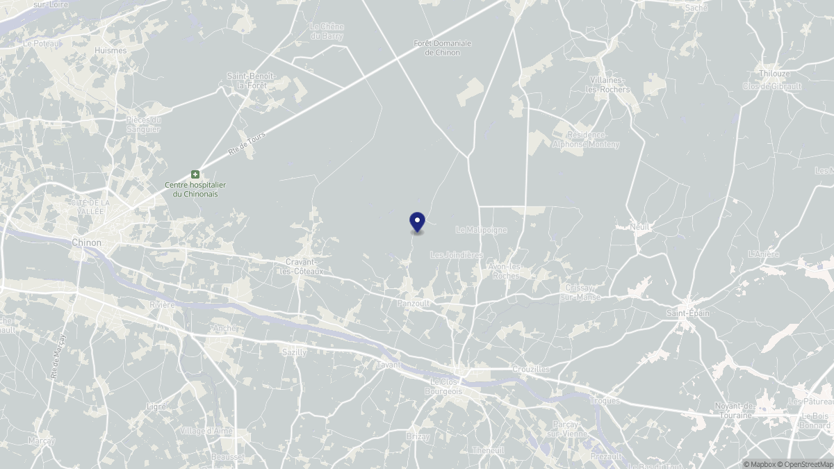 Aperçu cartographique de Panzoult, centré sur la commune