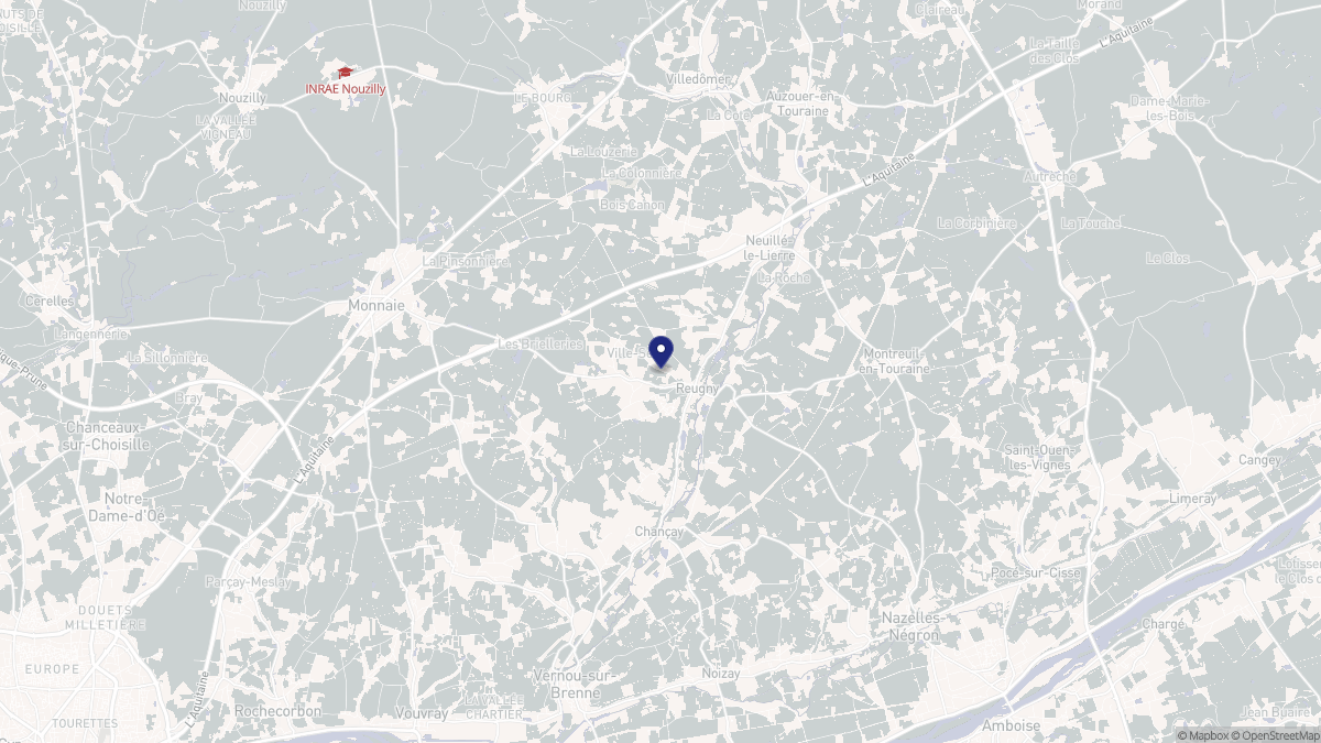 Aperçu cartographique de Reugny, centré sur la commune