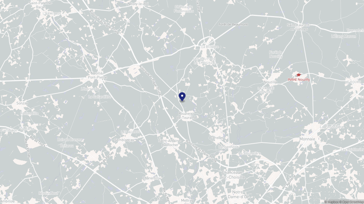 Aperçu cartographique de Rouziers-de-Touraine, centré sur la commune