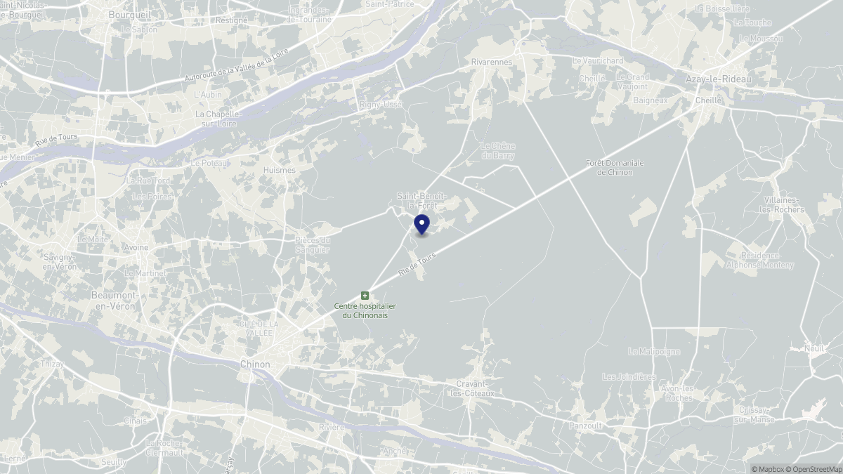 Aperçu cartographique de Saint-Benoît-la-Forêt, centré sur la commune
