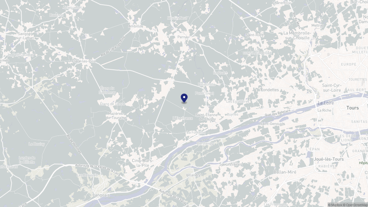 Aperçu cartographique de Saint-Étienne-de-Chigny, centré sur la commune