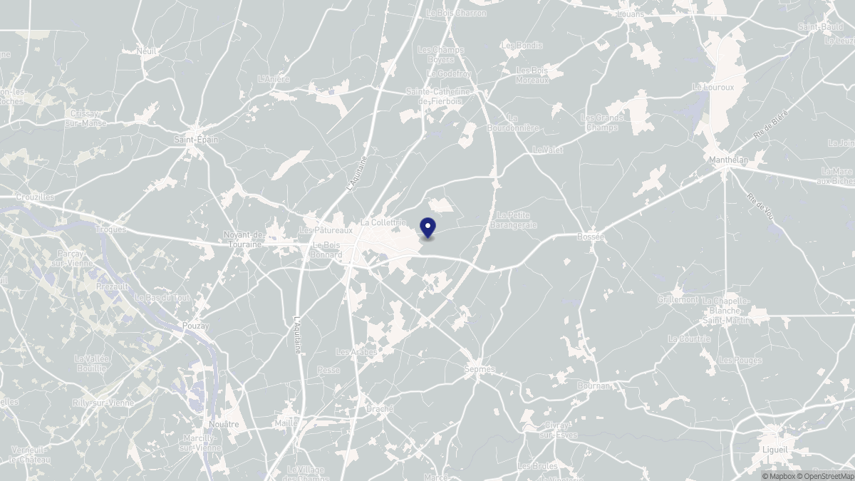 Aperçu cartographique de Sainte-Maure-de-Touraine, centré sur la commune