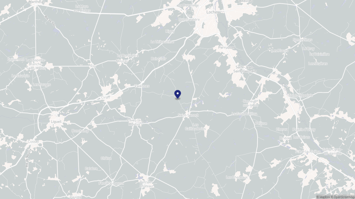 Aperçu cartographique de Saint-Senoch, centré sur la commune