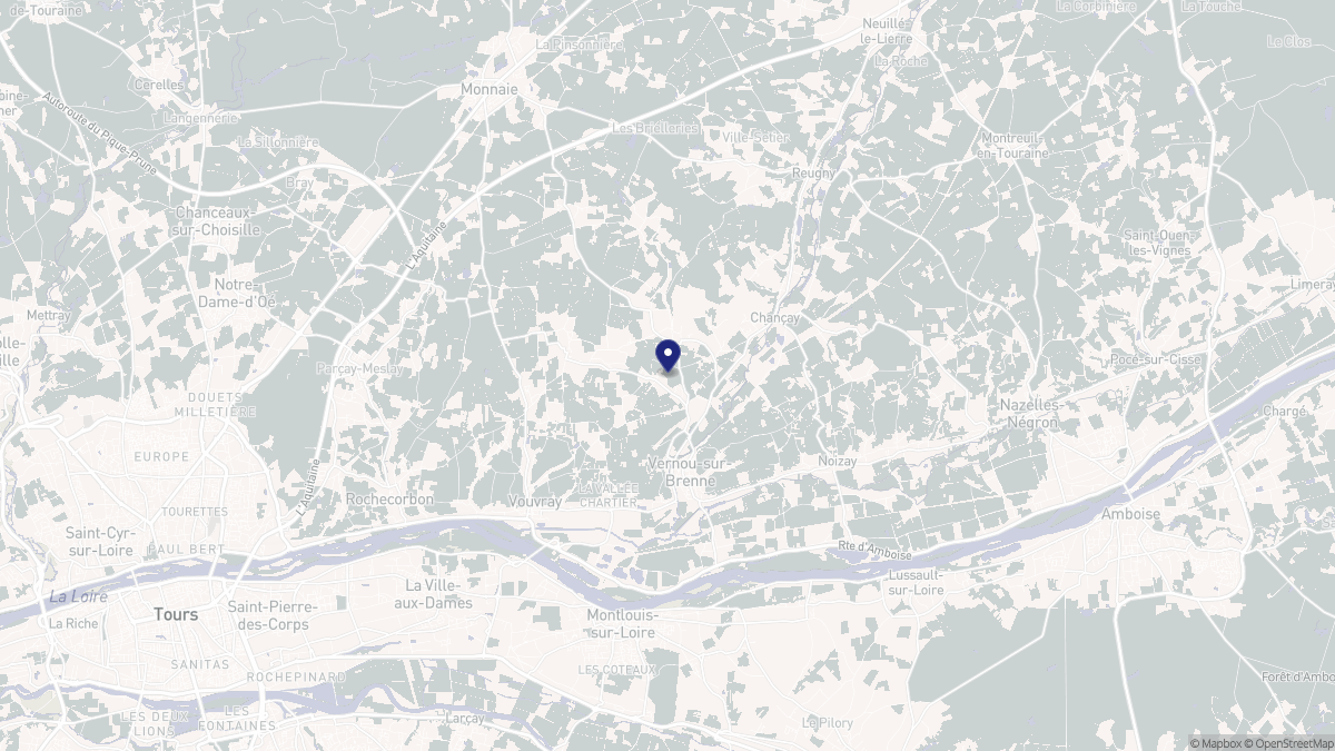 Aperçu cartographique de Vernou-sur-Brenne, centré sur la commune