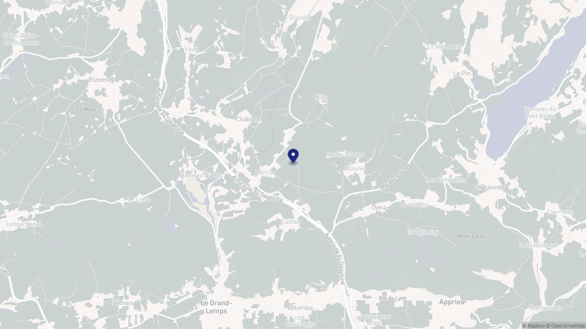Aperçu cartographique de Burcin, centré sur la commune