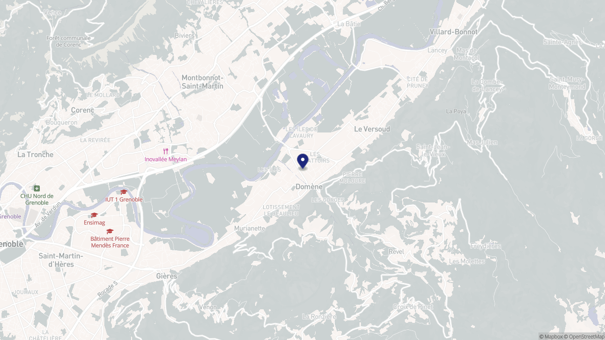 Aperçu cartographique de Domène, centré sur la commune