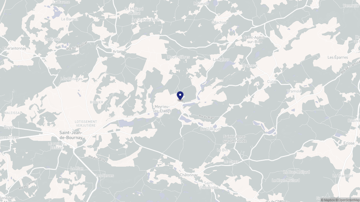 Aperçu cartographique de Meyrieu-les-Étangs, centré sur la commune