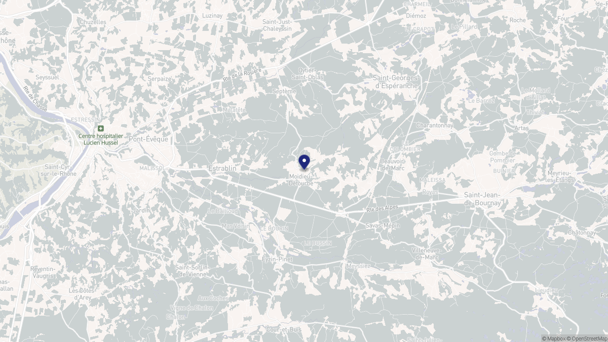 Aperçu cartographique de Moidieu-Détourbe, centré sur la commune