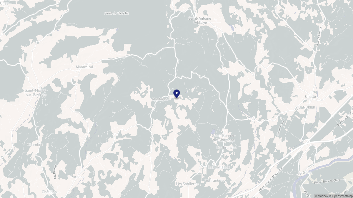 Aperçu cartographique de Montagne, centré sur la commune