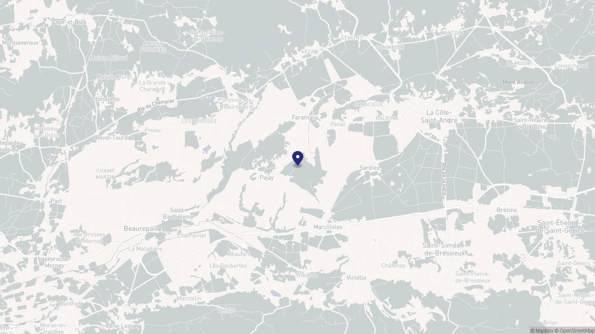 Aperçu cartographique de Penol, centré sur la commune