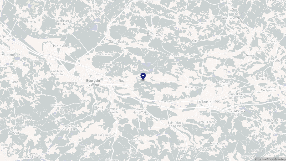 Aperçu cartographique de Ruy-Montceau, centré sur la commune
