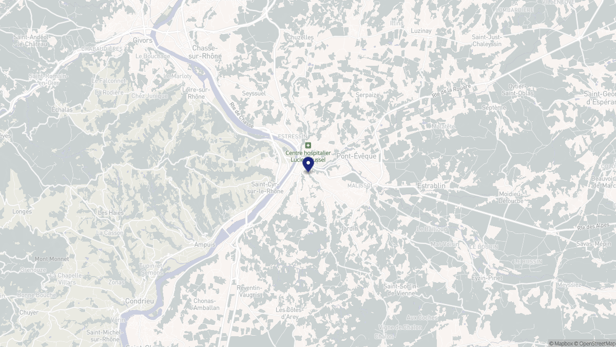 Aperçu cartographique de Vienne, centré sur la commune