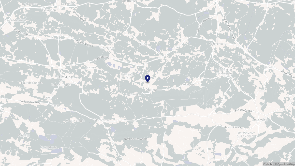 Aperçu cartographique de Vignieu, centré sur la commune