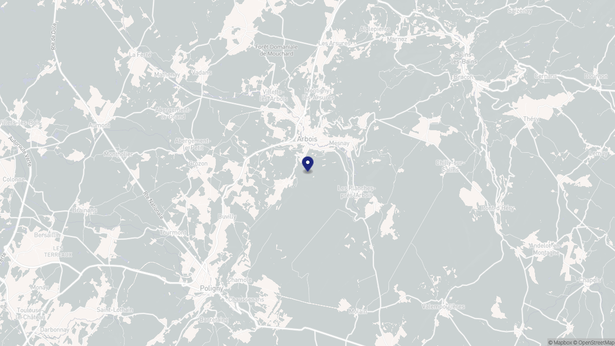 Aperçu cartographique de Arbois, centré sur la commune