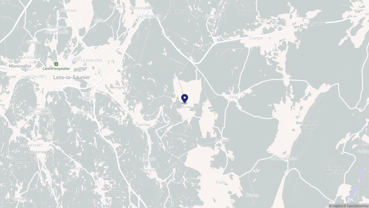 Aperçu cartographique de Briod, centré sur la commune