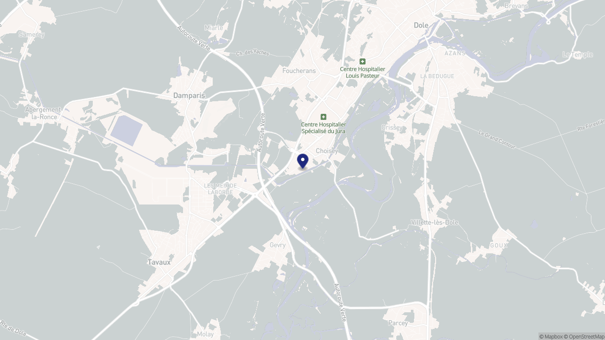 Aperçu cartographique de Choisey, centré sur la commune