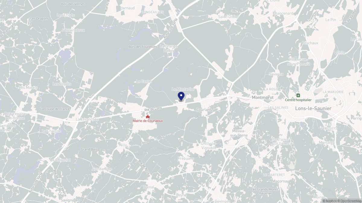 Aperçu cartographique de Courlans, centré sur la commune