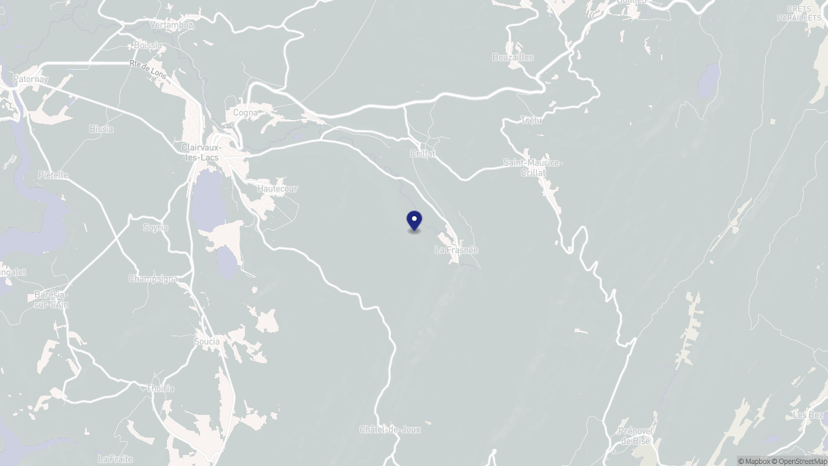 Aperçu cartographique de La Frasnée, centré sur la commune