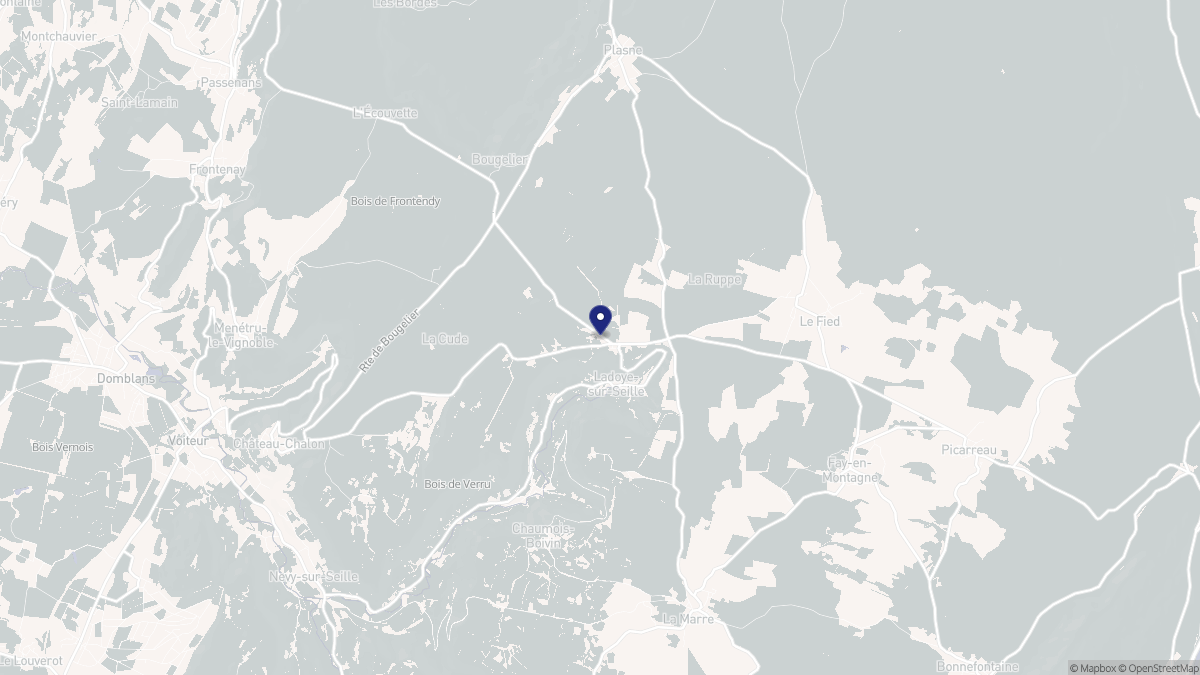 Aperçu cartographique de Ladoye-sur-Seille, centré sur la commune