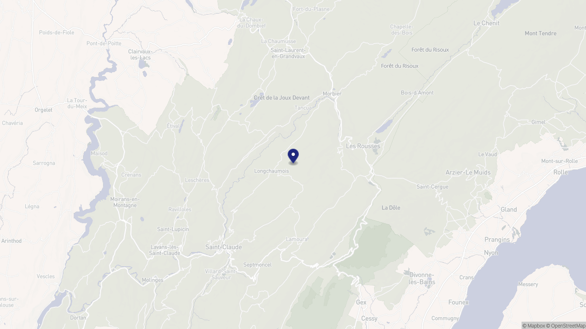 Aperçu cartographique de Longchaumois, centré sur la commune