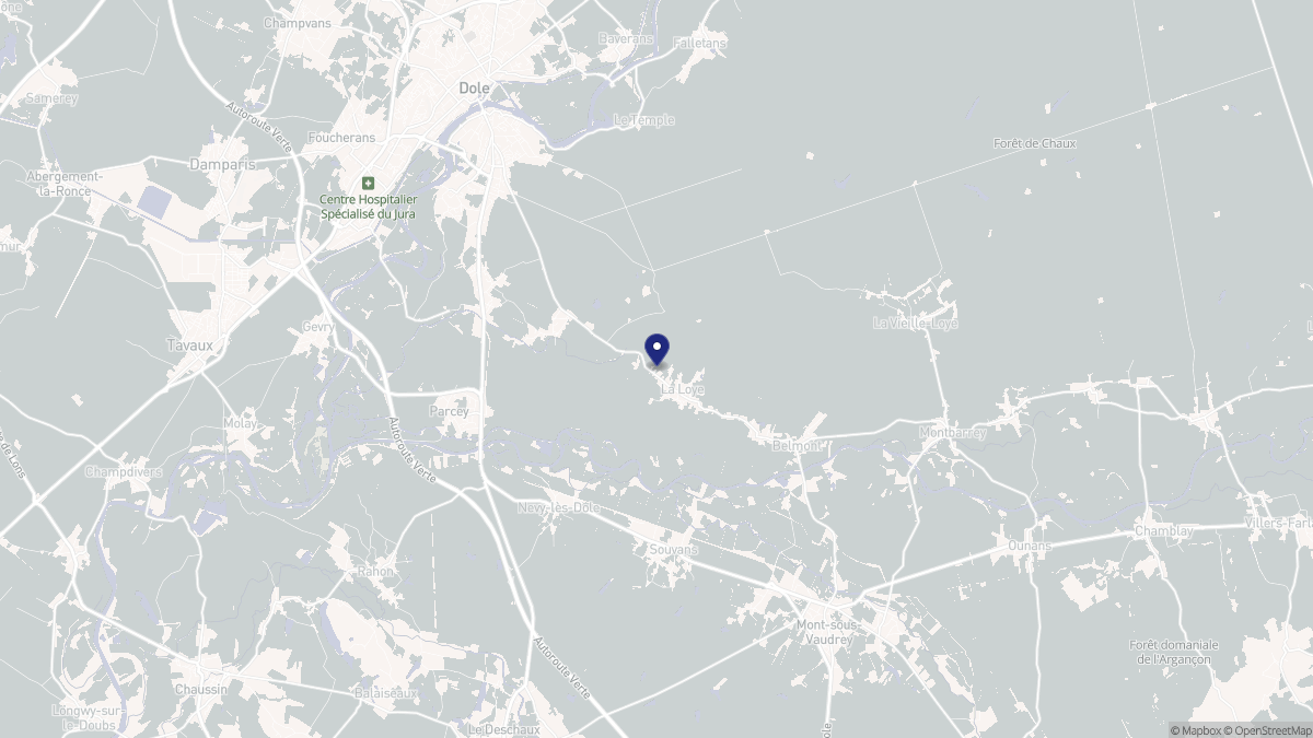 Aperçu cartographique de La Loye, centré sur la commune
