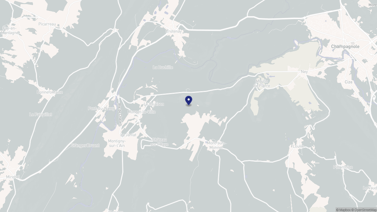 Aperçu cartographique de Monnet-la-Ville, centré sur la commune