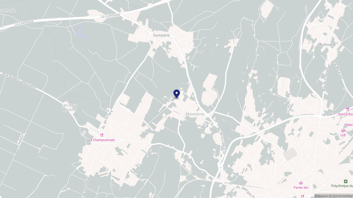 Aperçu cartographique de Monnières, centré sur la commune