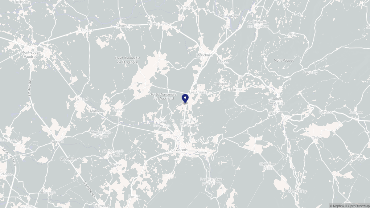 Aperçu cartographique de Montigny-lès-Arsures, centré sur la commune