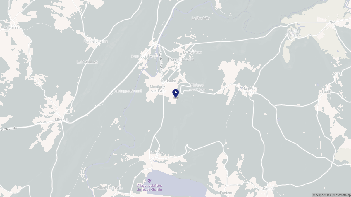 Aperçu cartographique de Montigny-sur-l'Ain, centré sur la commune
