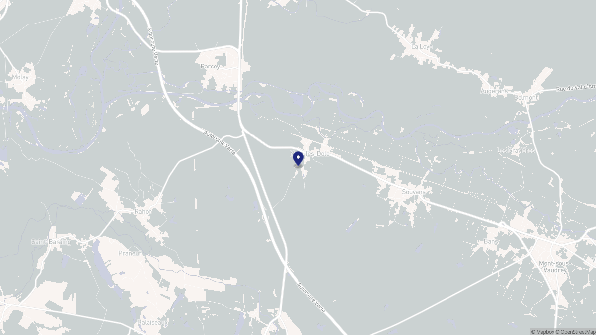 Aperçu cartographique de Nevy-lès-Dole, centré sur la commune