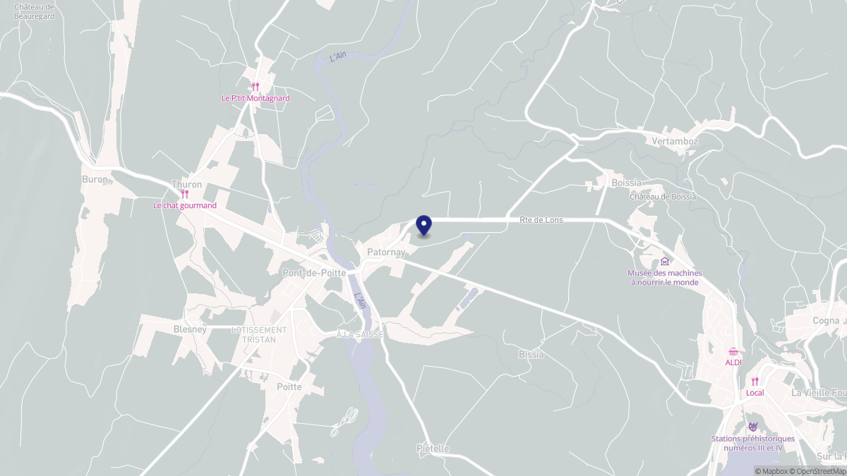 Aperçu cartographique de Patornay, centré sur la commune