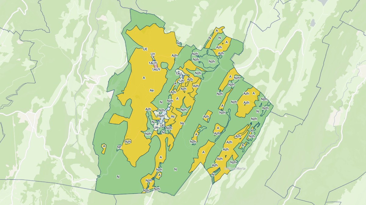 Aperçu cartographique de La Pesse, centré sur la commune