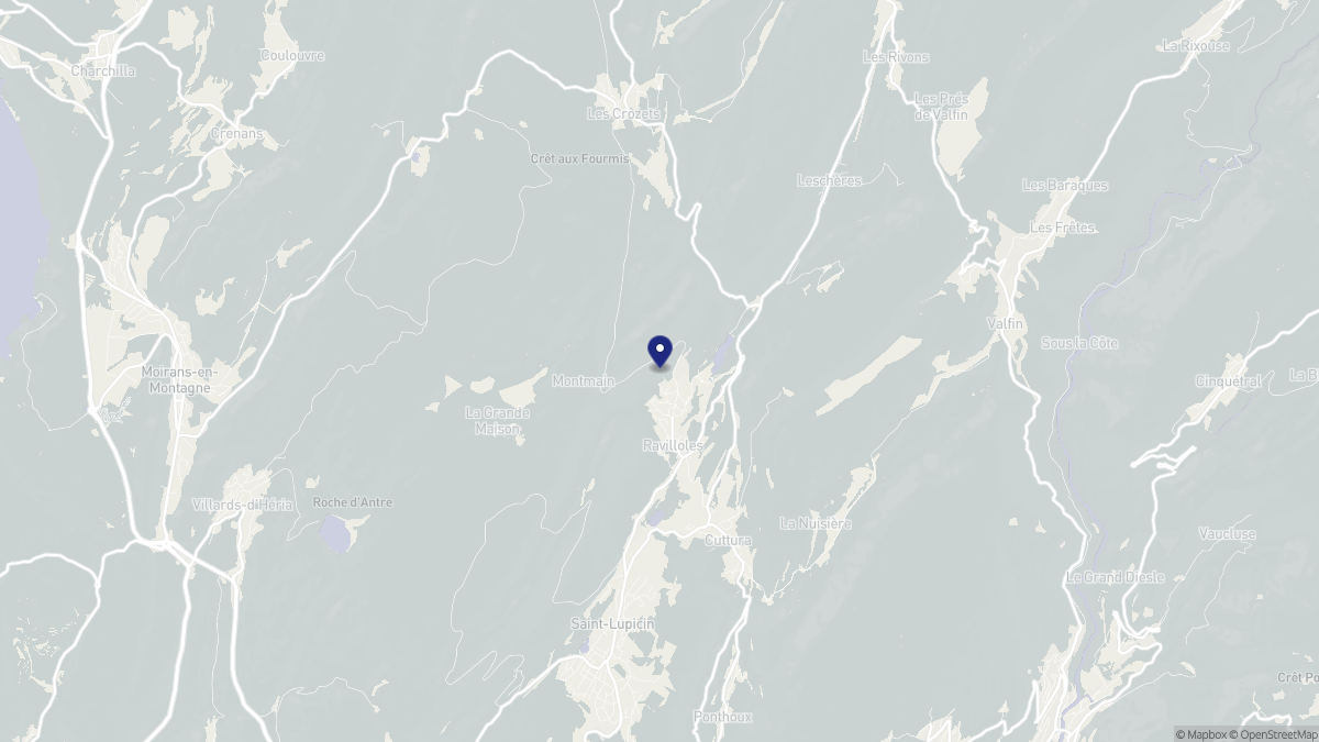 Aperçu cartographique de Ravilloles, centré sur la commune