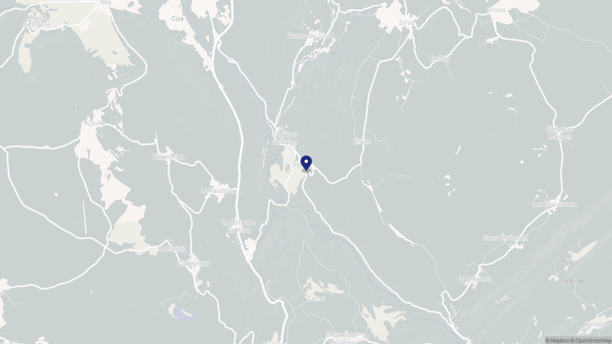 Aperçu cartographique de Syam, centré sur la commune