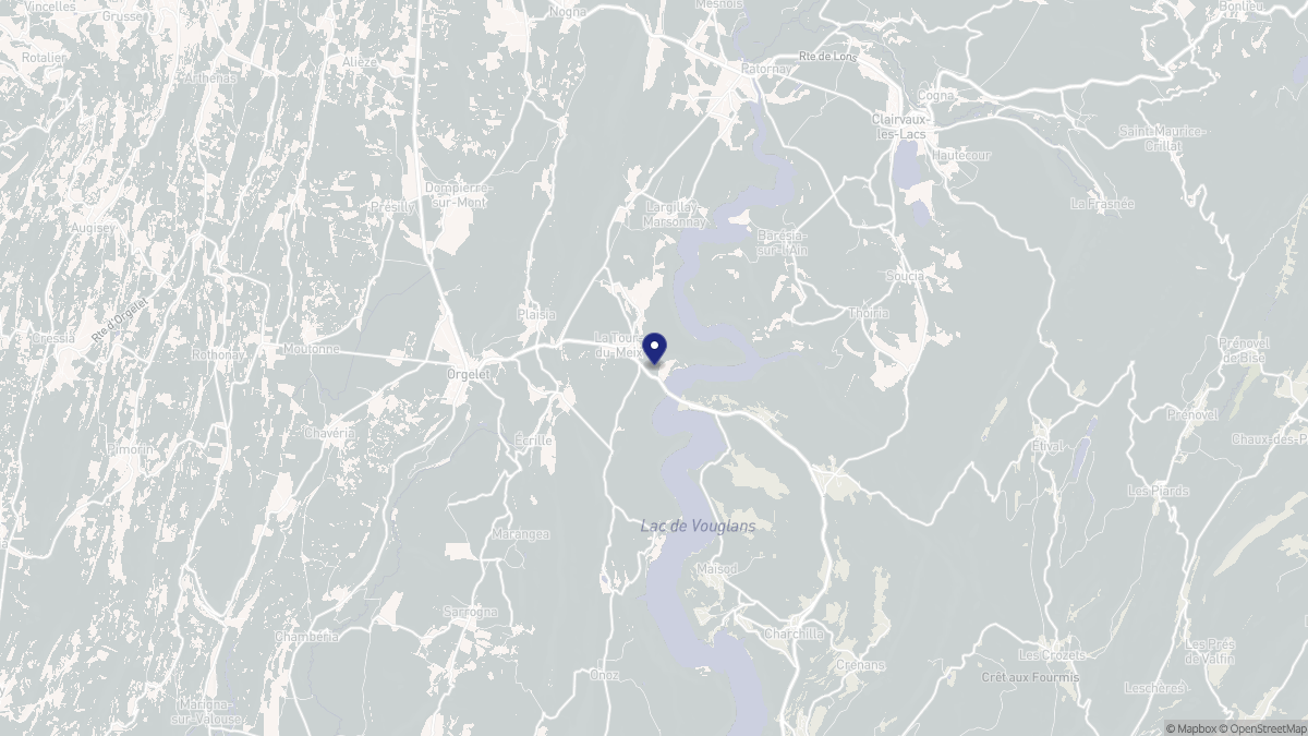 Aperçu cartographique de La Tour-du-Meix, centré sur la commune